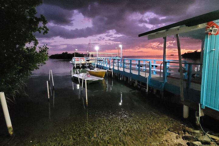 La Parguera Bio Bay Boat Ride and Swimming w/ San Juan Transport