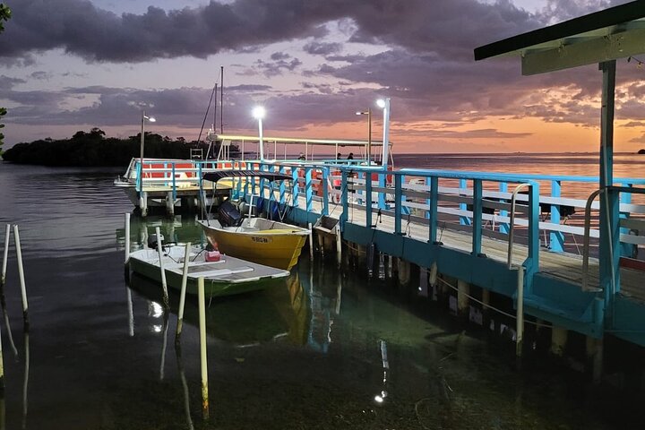 La Parguera Bio Bay Boat Ride and Swimming w/ San Juan Transport