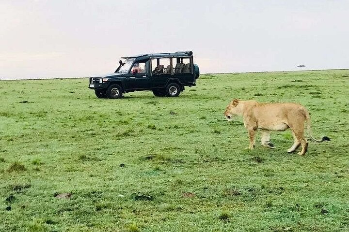 3 Days Amboseli by Flight from Mombasa / Diani (min 2 persons)