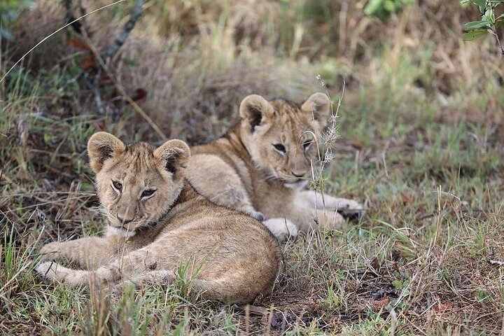 3 Days Amboseli by Flight from Mombasa / Diani (min 2 persons)