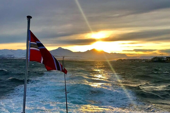 Tromsø: Arctic Fjord Cruise & Fishing Experience