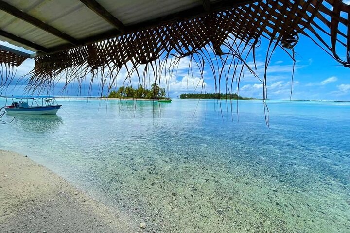 A Day at the Island of Reefs