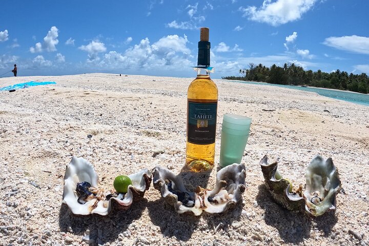 A Day at the Island of Reefs