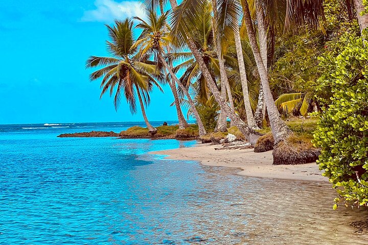Full-Day Caribbean Catamaran Cruise: Beaches, Snorkeling & Lunch