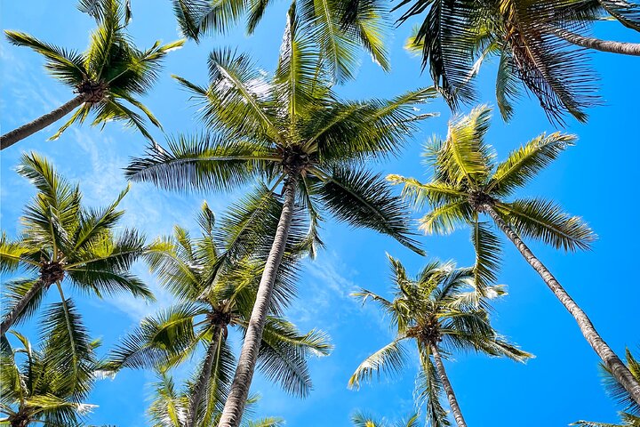 Tortuga Island Full Day Tour from San José with Lunch