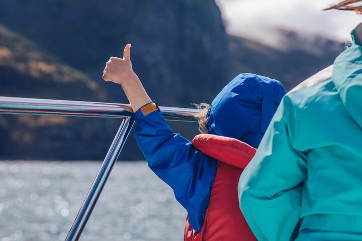 Akaroa Dolphins ~ Harbour Nature Cruise