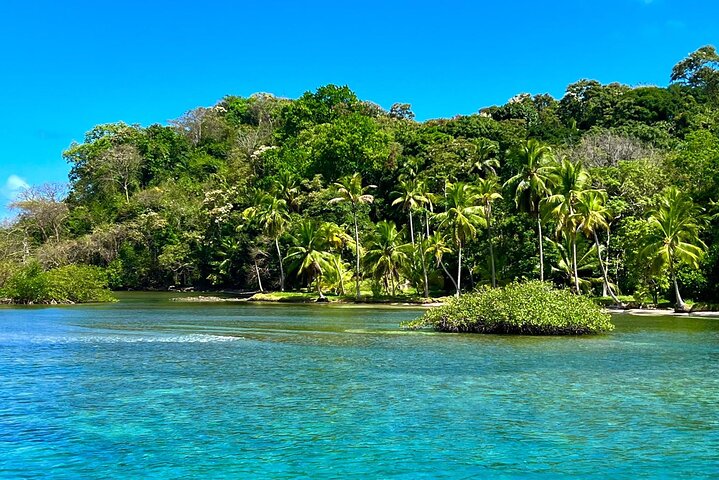 Full-Day Caribbean Catamaran Cruise: Beaches, Snorkeling & Lunch