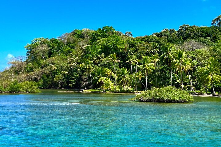 Caribbean Catamaran Day Cruise: Beaches, Snorkeling & Lunch