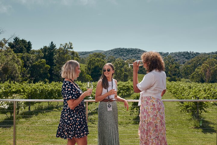 From Melbourne: Hop On Hop Off Yarra Valley - GREEN Route