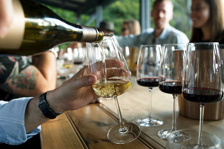Premium Hunter Valley Wine Tour with Tastings & 2 Course Lunch