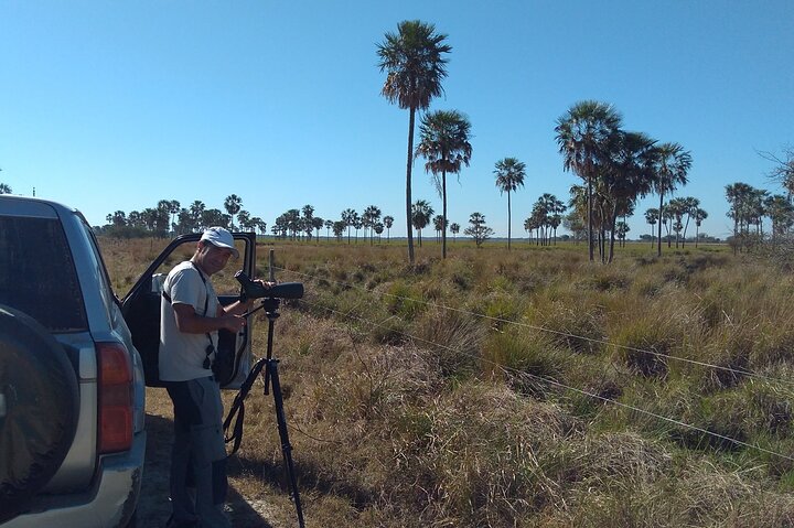 Birding and Nature Chaco Tour