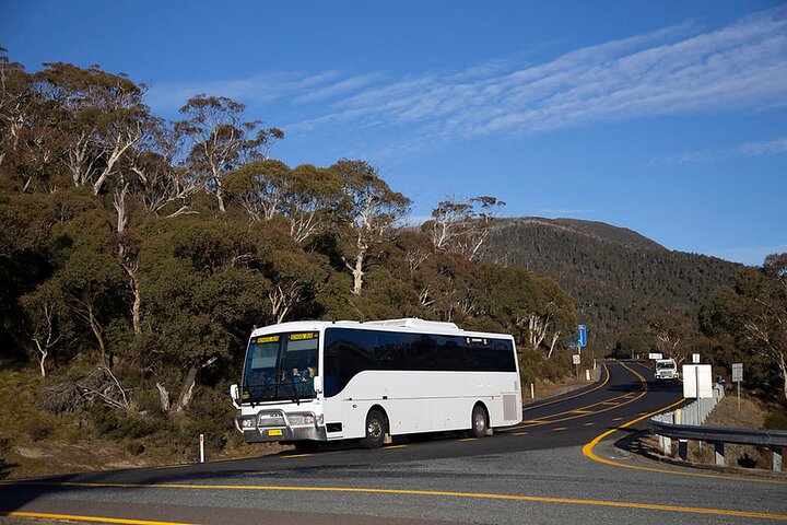 Thredbo or Perisher Bus Trip from Canberra