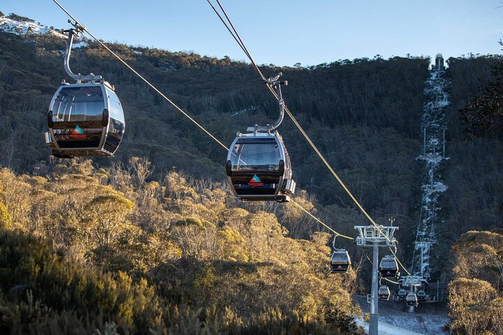 Thredbo or Perisher Bus Trip from Canberra