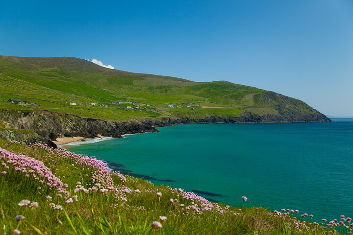 Full-Day Tour of the Dingle Peninsula, Slea Head, and Inch Beach