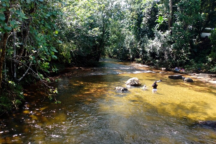 Kanneliya Rain Forest Tour