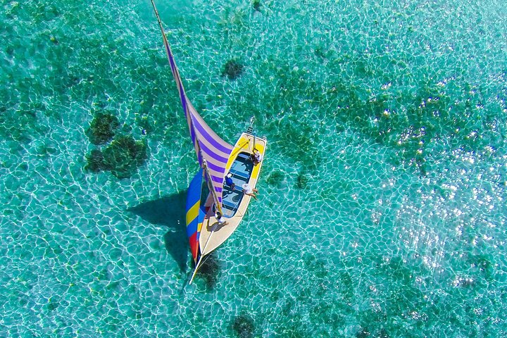 East Adventure with Blue Bay Marine Park, Crocodile Park & Lunch