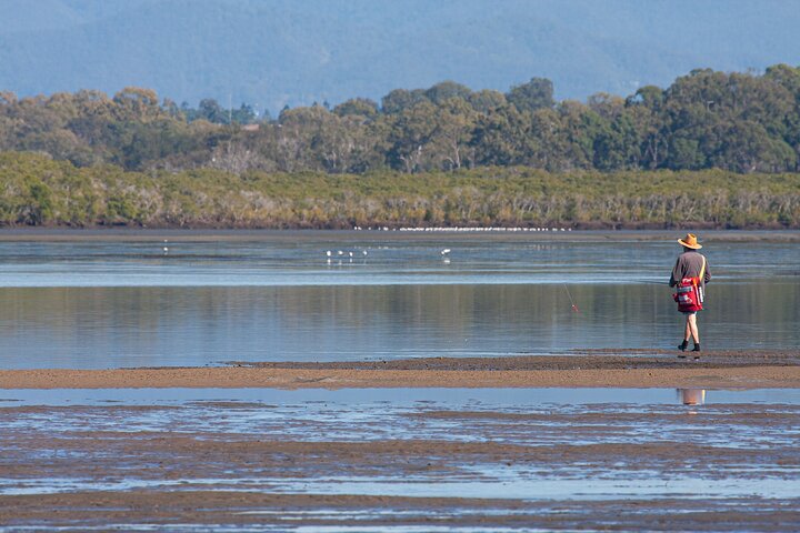 Kangaroos, mangroves and the ocean