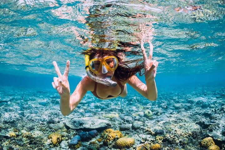 East Adventure with Blue Bay Marine Park, Crocodile Park & Lunch