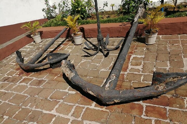 East Adventure with Blue Bay Marine Park, Crocodile Park & Lunch