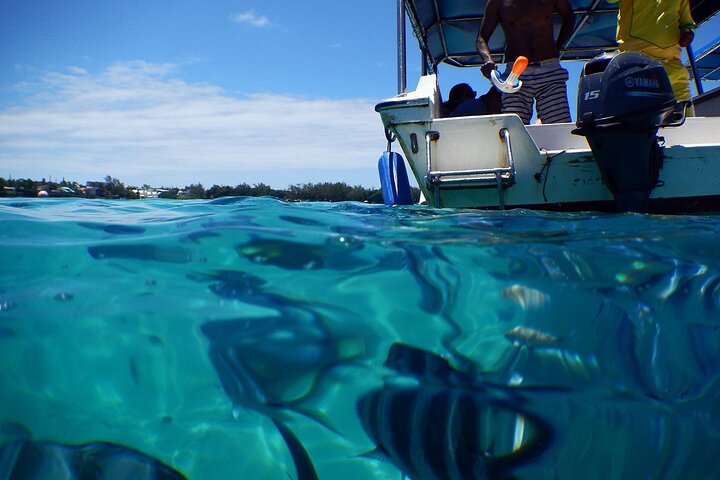 East Adventure with Blue Bay Marine Park, Crocodile Park & Lunch