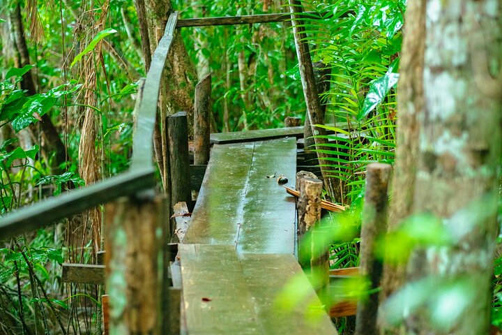 5 Island and Town Hopping Tour with Lunch