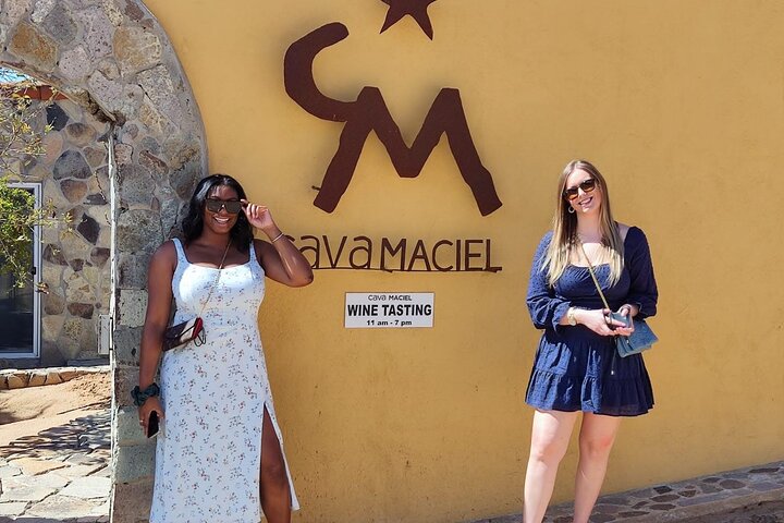 Premium Valle de Guadalupe Wine and Food Tour