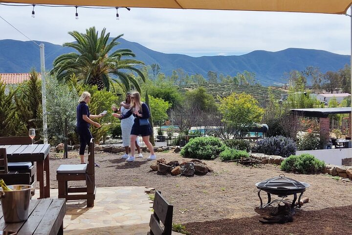Premium Valle de Guadalupe Wine and Food Tour