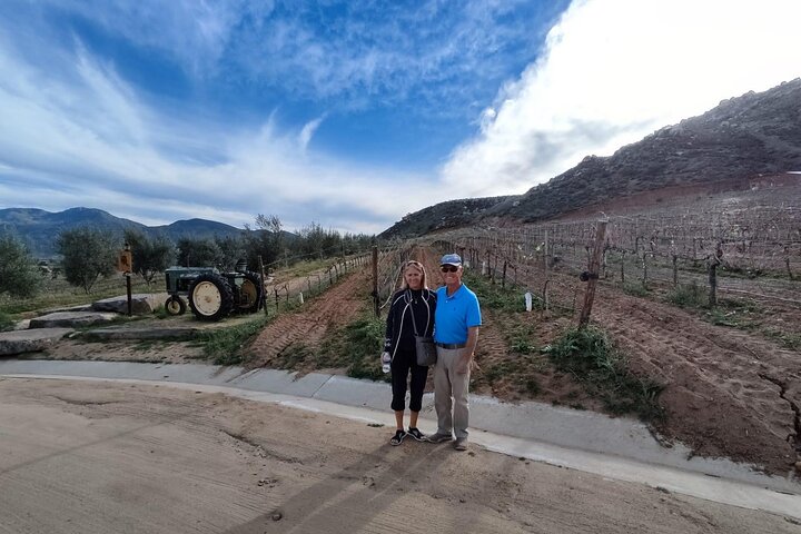 Premium Valle de Guadalupe Wine and Food Tour