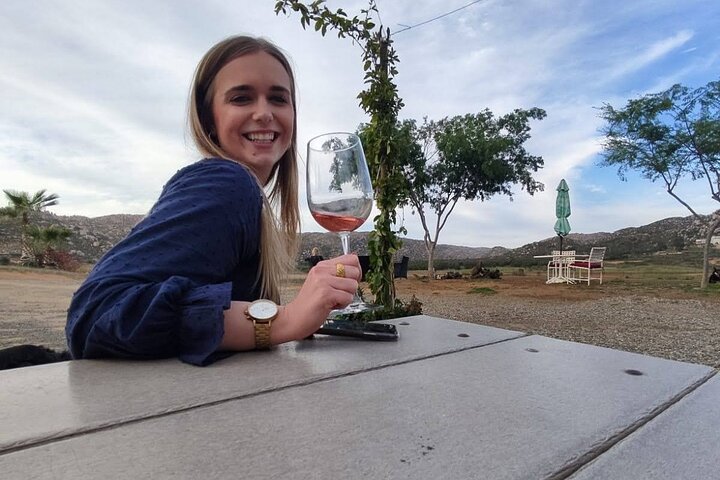 Premium Valle de Guadalupe Wine and Food Tour
