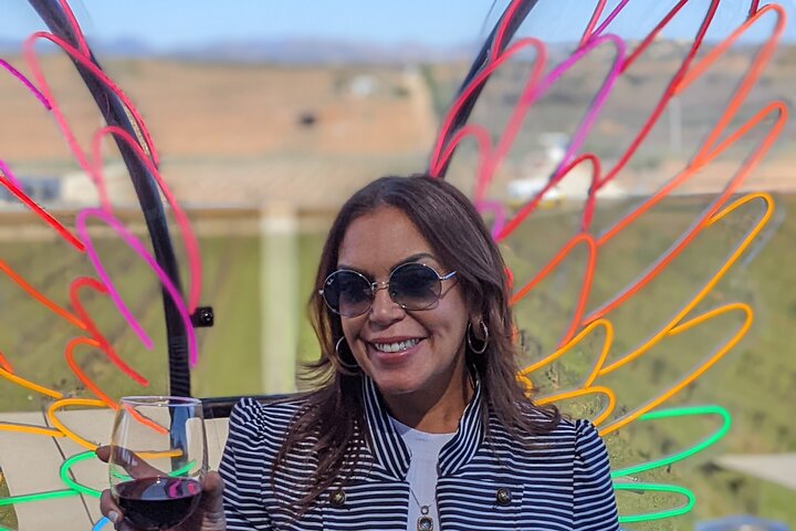 Premium Valle de Guadalupe Wine and Food Tour