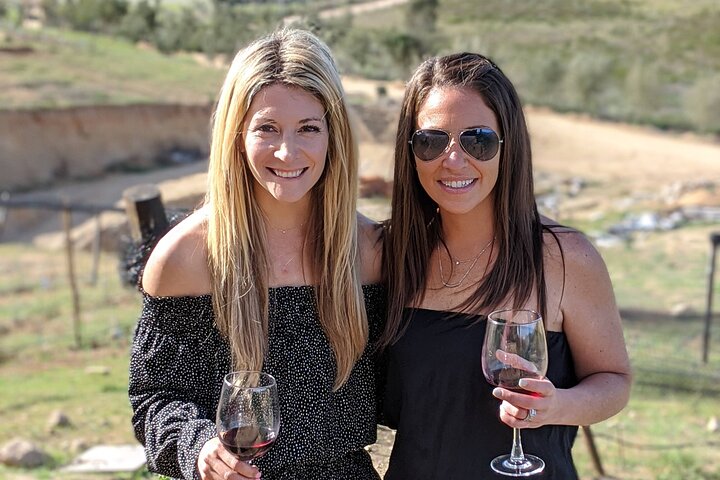 Premium Valle de Guadalupe Wine and Food Tour