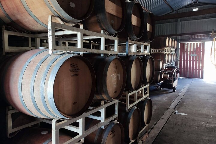 Premium Valle de Guadalupe Wine and Food Tour