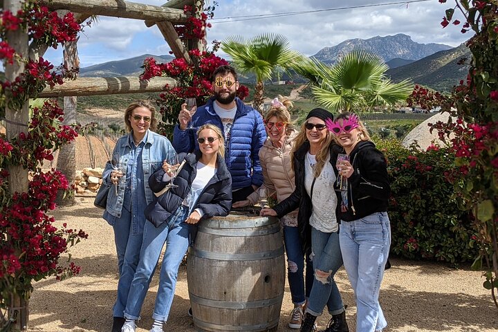 Premium Valle de Guadalupe Wine and Food Tour