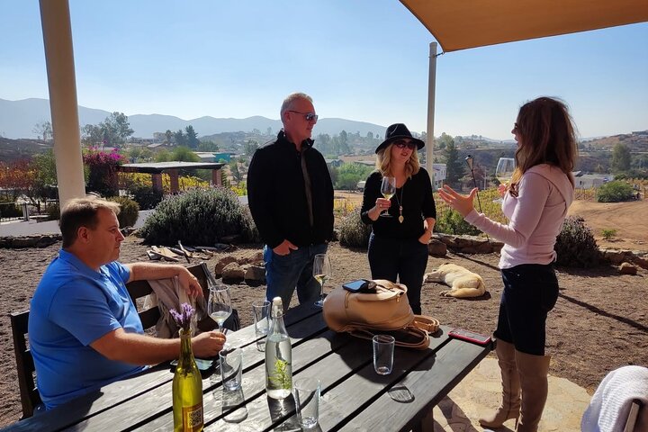Premium Valle de Guadalupe Wine and Food Tour