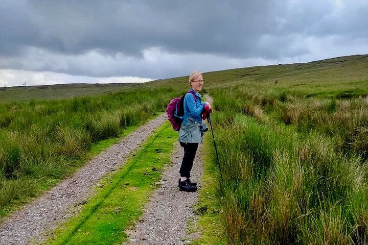 Bog Safari Hike