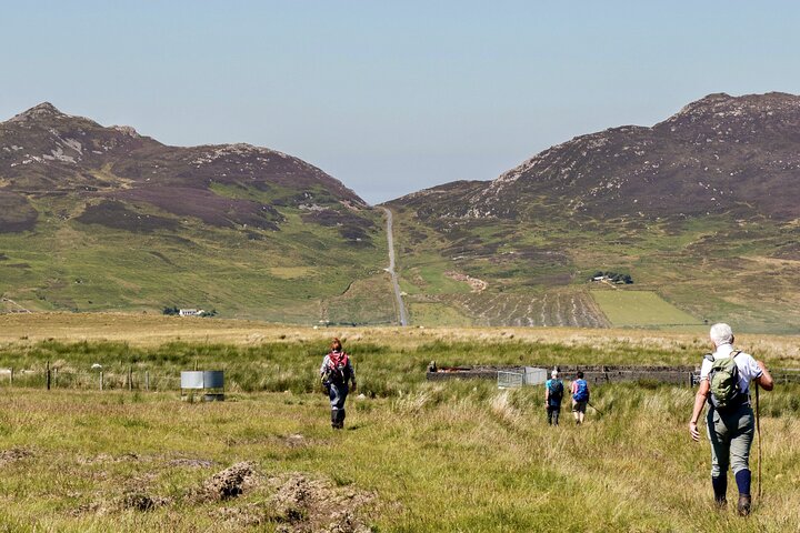 Bog Safari Hike