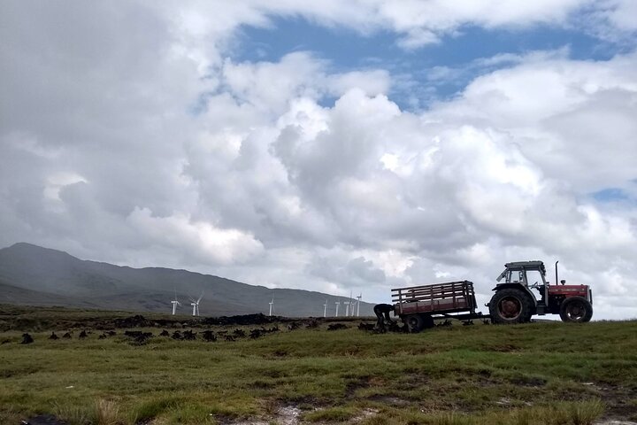 Bog Safari Hike