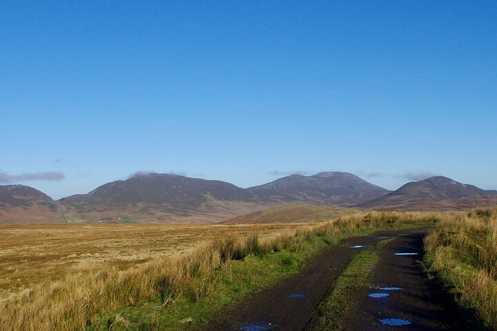 Bog Safari Hike