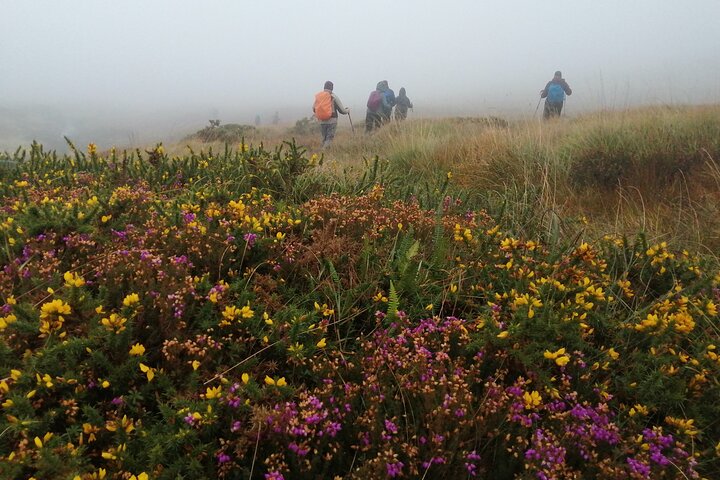 Bog Safari Hike