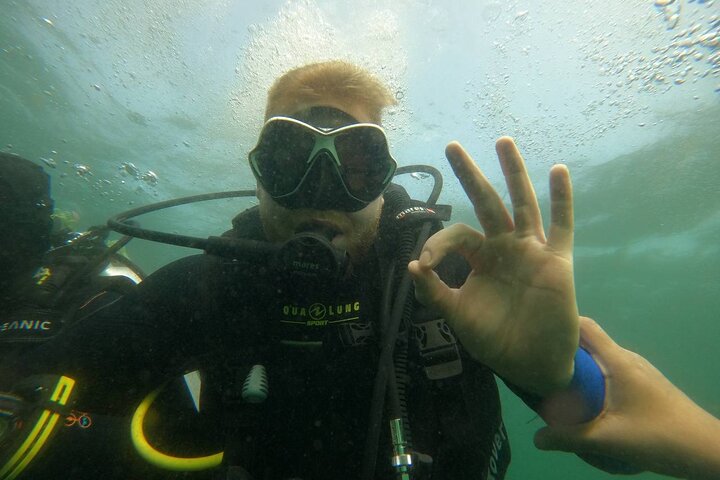 Discover Scuba Diving in Fujirah Dibba