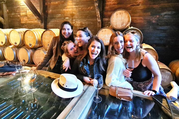 Guadalupe Wine Valley Tour