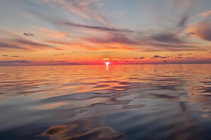 Vrsar, Lim Fjord and Rovinj Day Tour by Boat with Drinks