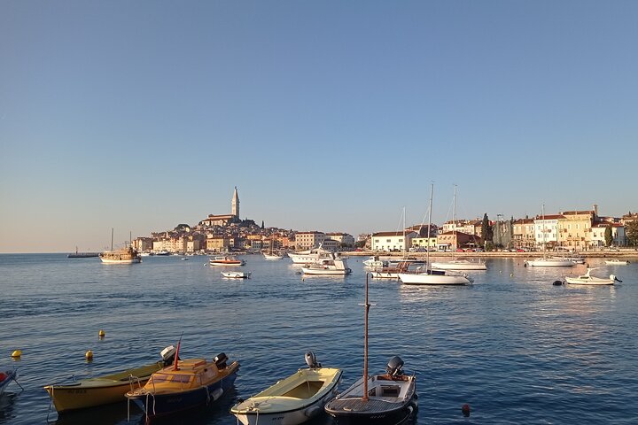 Vrsar, Lim Fjord and Rovinj Day Tour by Boat with Drinks