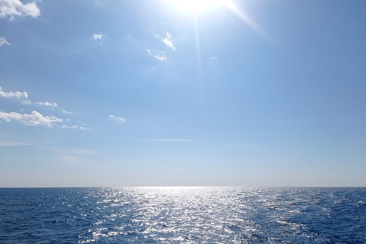 Vrsar, Lim Fjord and Rovinj Day Tour by Boat with Drinks