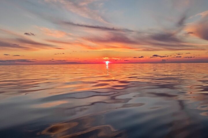 Sunset Dolphin Watching Boat Tour from Vrsar