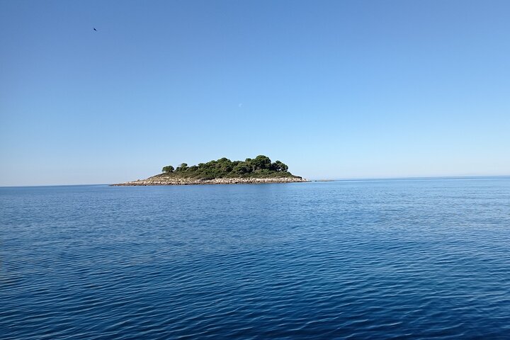 Sunset Dolphin Watching Boat Tour from Vrsar