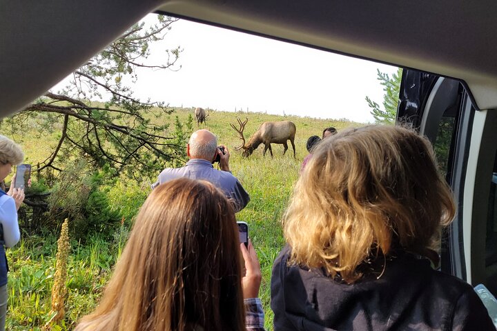 Full-Day Guided Yellowstone Day Tour