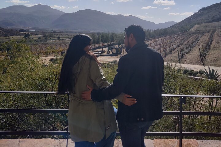The best wine from San Diego to Valle de Guadalupe