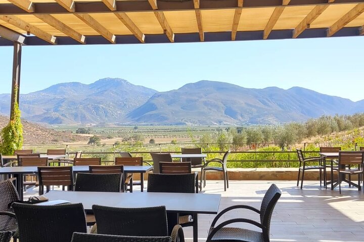 The best wine from San Diego to Valle de Guadalupe