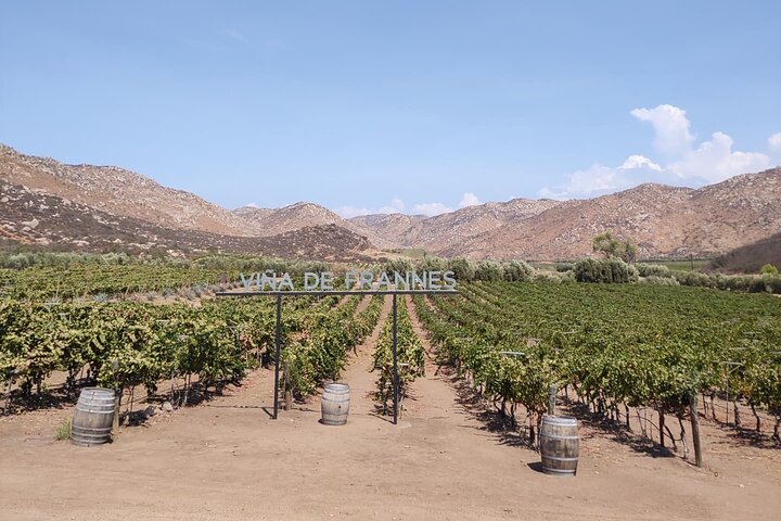 The best wine from San Diego to Valle de Guadalupe